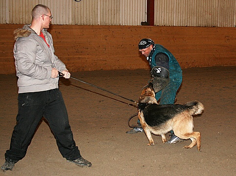 Training in Estonia 3/2007